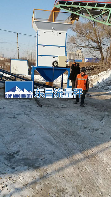 黑龙江某粮库使用DCS-L100粮食流量秤100吨每小时